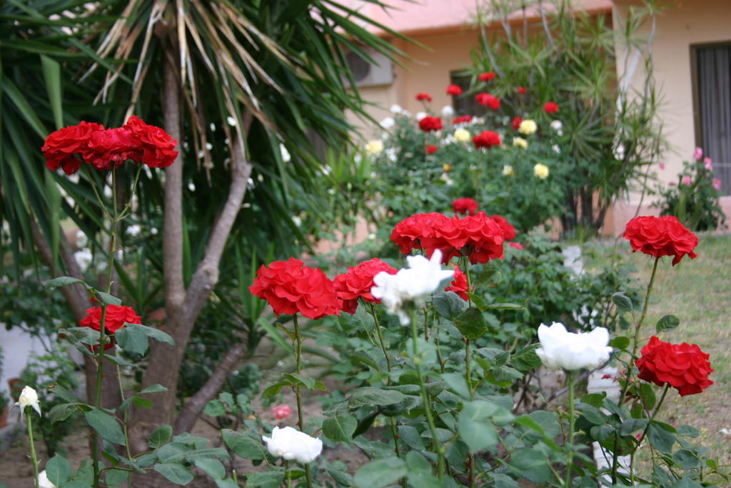 פליראקי Lyristis Dinos Studios & Apartments מראה חיצוני תמונה